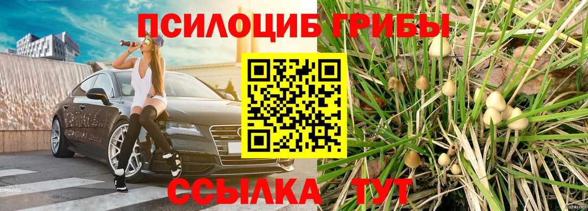 Псилоцибиновые грибы GOLDEN TEACHER  Вход с VPN  Александров 