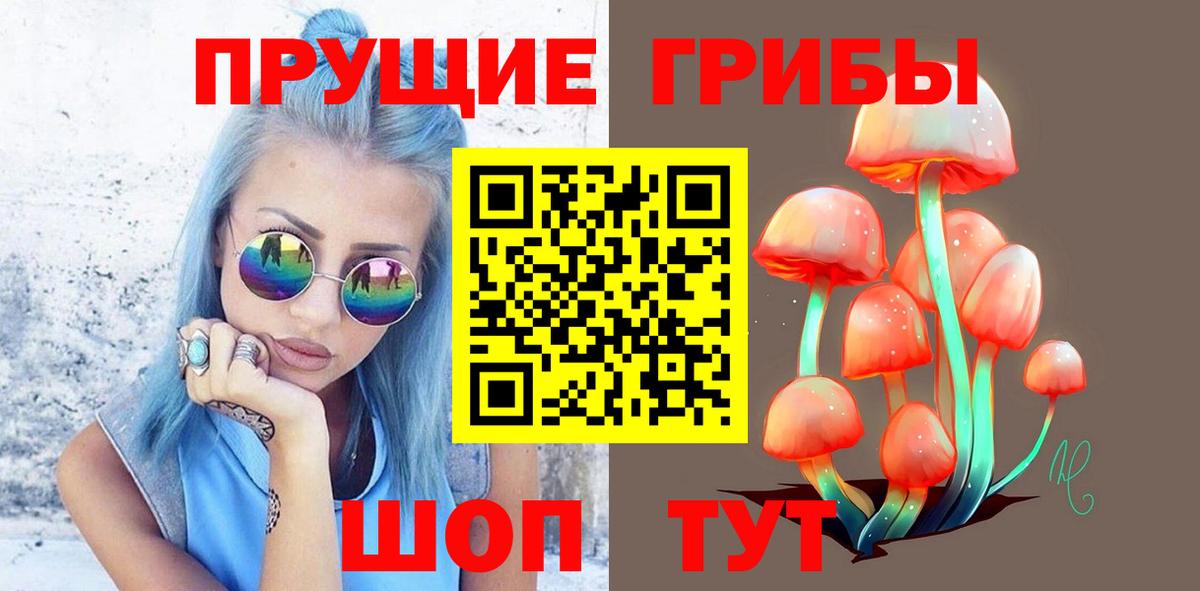 Галлюциногенные грибы прущие грибы Александров
